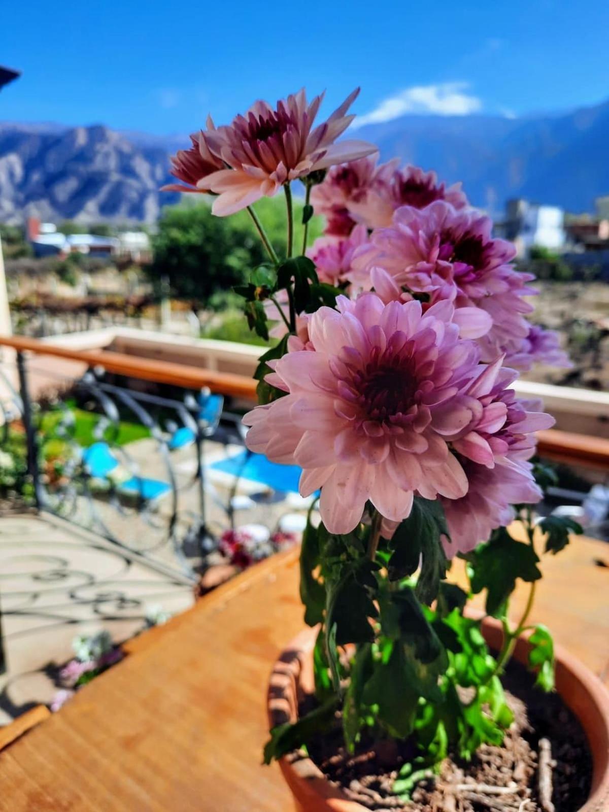 Luna De Cafayate Hotel Boutique Екстериор снимка